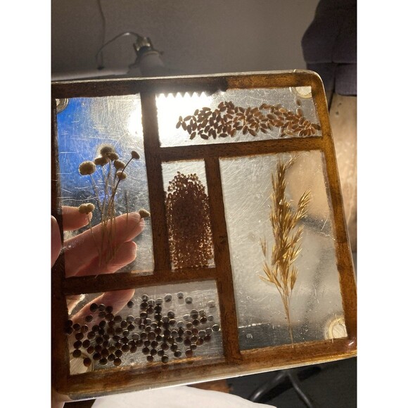 Vintage Dried Flower & Seeds Lucite Resin Trivet Hanging Art COLORFLO 1970s - Picture 3 of 9